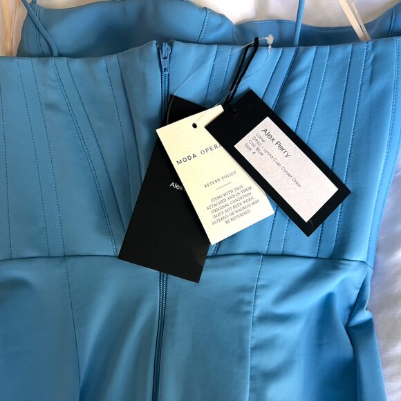 Alex Perry Lane Corset / Bustier Midi Dress - Size 0 US / 4 UK - Picture 4 of 6